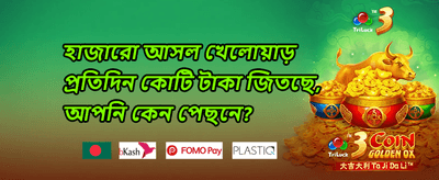মেগা স্লট ফ্রি স্পিন অফার promotion banner